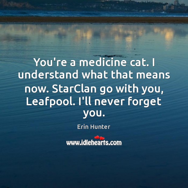 You’re a medicine cat. I understand what that means now. StarClan go With You Quotes Image