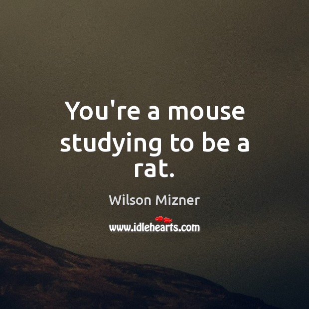 You’re a mouse studying to be a rat. Wilson Mizner Picture Quote