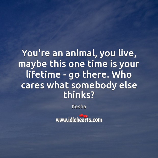 You’re an animal, you live, maybe this one time is your lifetime Image