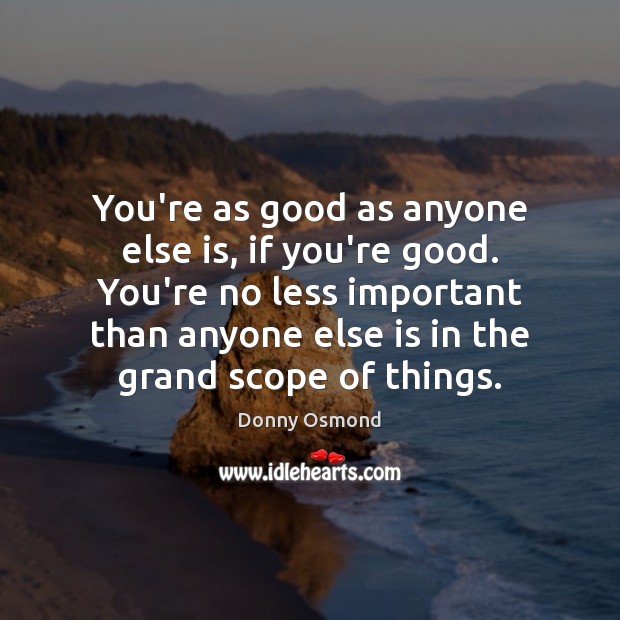 You’re as good as anyone else is, if you’re good. You’re no Donny Osmond Picture Quote