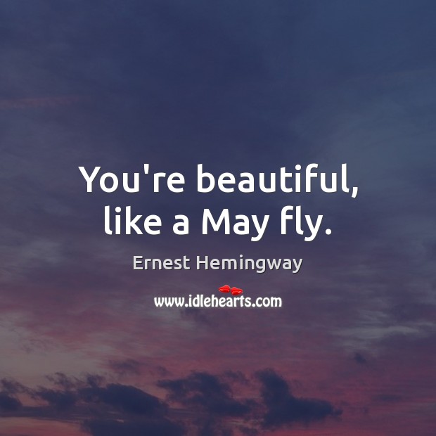 You’re beautiful, like a May fly. Ernest Hemingway Picture Quote