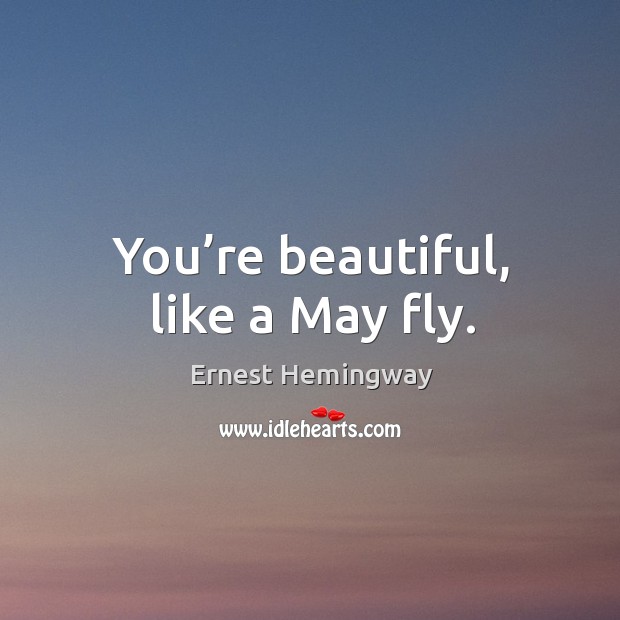 You’re beautiful, like a may fly. You’re Beautiful Quotes Image