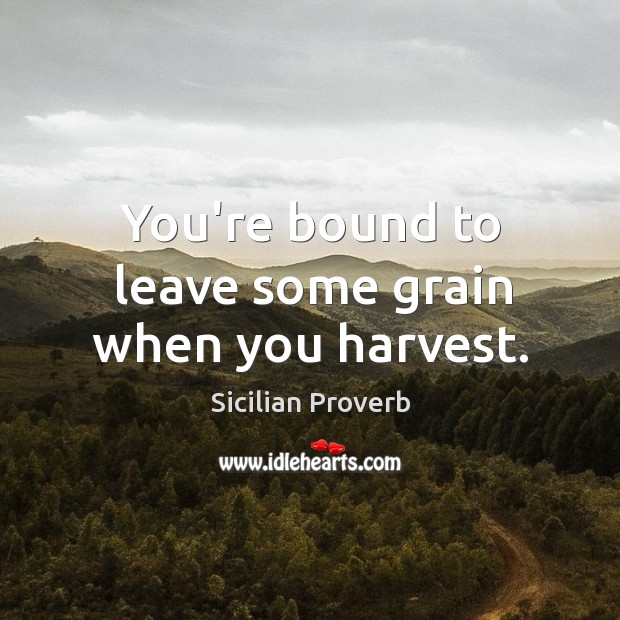 You’re bound to leave some grain when you harvest. Image