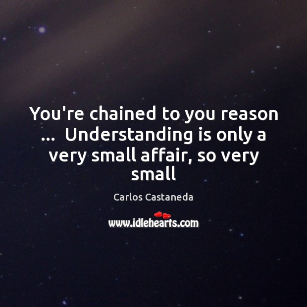You’re chained to you reason …  Understanding is only a very small affair, so very small Carlos Castaneda Picture Quote