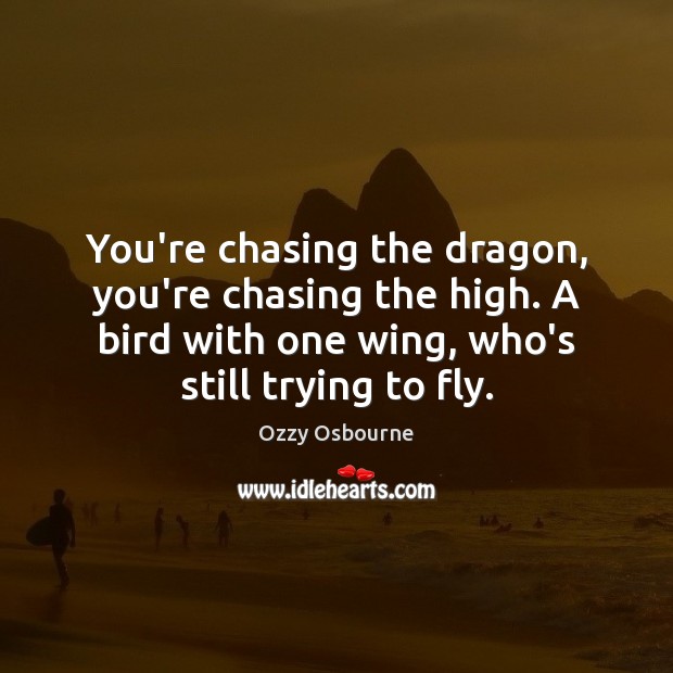 You’re chasing the dragon, you’re chasing the high. A bird with one Ozzy Osbourne Picture Quote