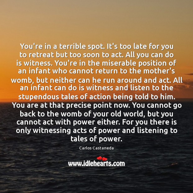 You’re in a terrible spot. It’s too late for you to retreat Carlos Castaneda Picture Quote