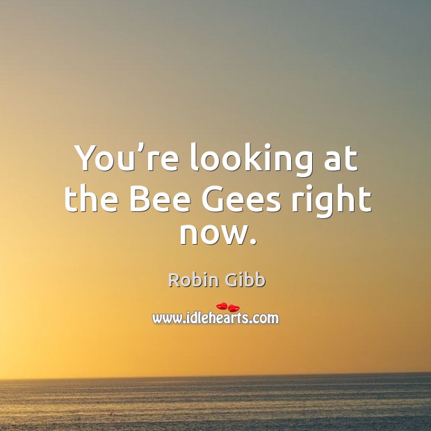 You’re looking at the bee gees right now. Image