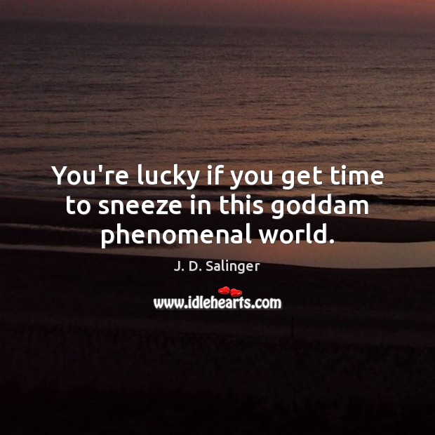 You’re lucky if you get time to sneeze in this Goddam phenomenal world. J. D. Salinger Picture Quote