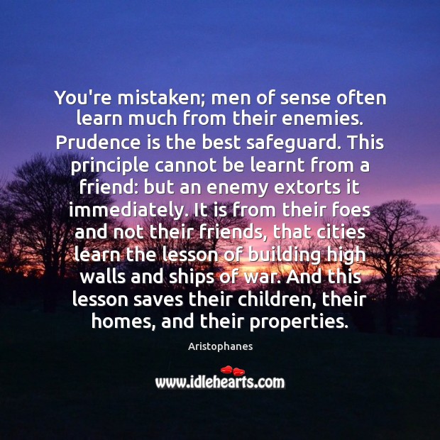 You’re mistaken; men of sense often learn much from their enemies. Prudence Aristophanes Picture Quote