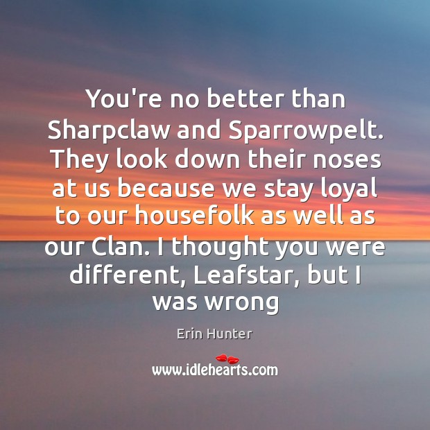 You’re no better than Sharpclaw and Sparrowpelt. They look down their noses Erin Hunter Picture Quote