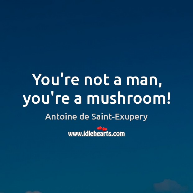 You’re not a man, you’re a mushroom! Antoine de Saint-Exupery Picture Quote