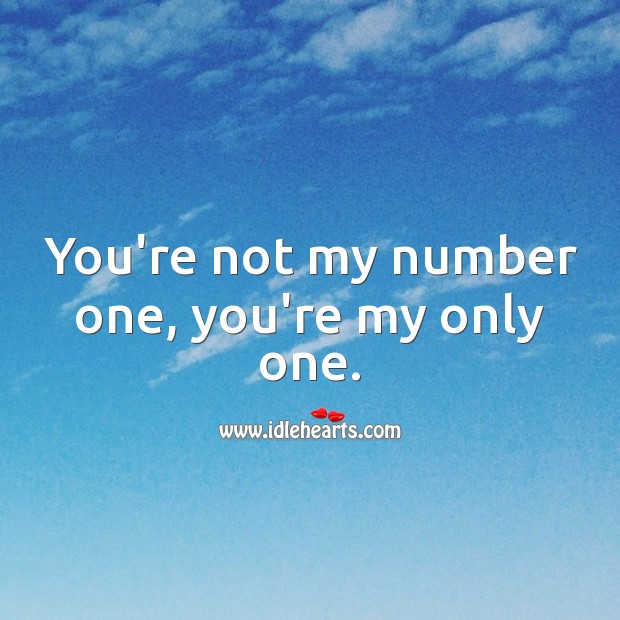 You’re not my number one, you’re my only one. I Love You Quotes Image