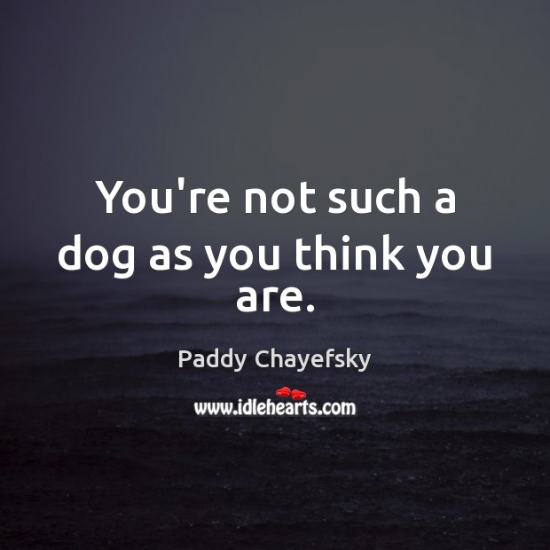 You’re not such a dog as you think you are. Paddy Chayefsky Picture Quote