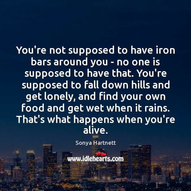 You’re not supposed to have iron bars around you – no one Image