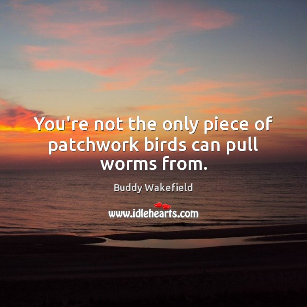 You’re not the only piece of patchwork birds can pull worms from. Buddy Wakefield Picture Quote