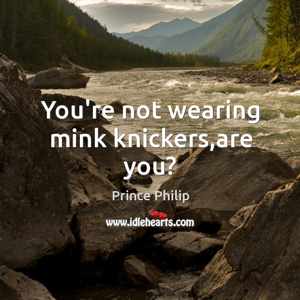 You’re not wearing mink knickers,are you? Prince Philip Picture Quote