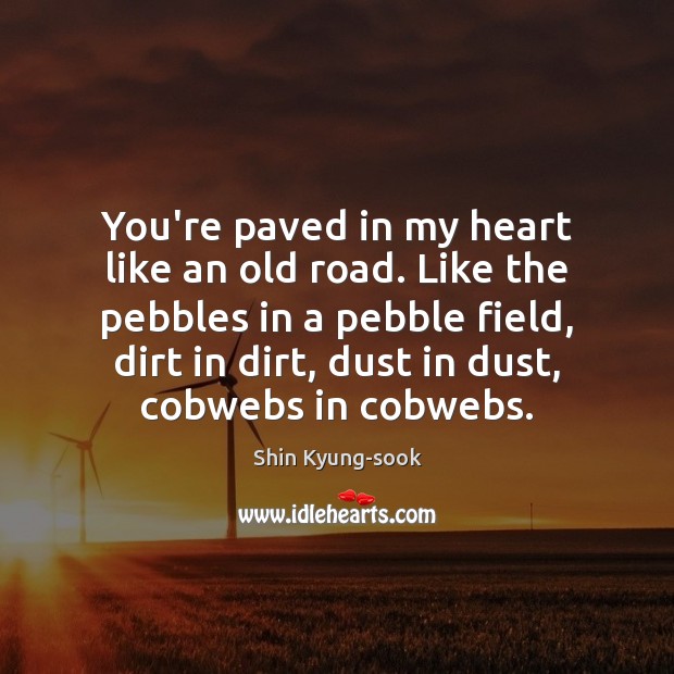 You’re paved in my heart like an old road. Like the pebbles Shin Kyung-sook Picture Quote