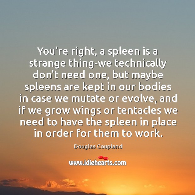 You’re right, a spleen is a strange thing-we technically don’t need one, Image