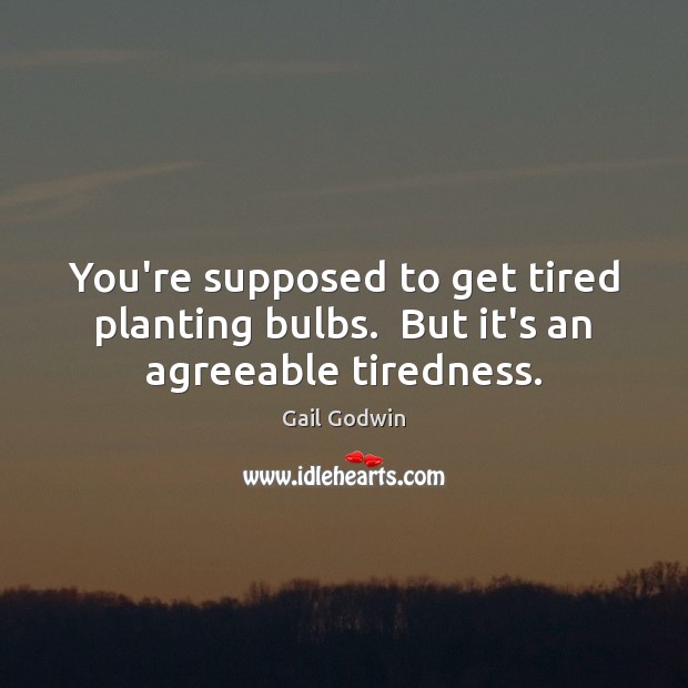 You’re supposed to get tired planting bulbs.  But it’s an agreeable tiredness. Gail Godwin Picture Quote