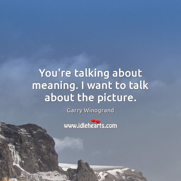 You’re talking about meaning. I want to talk about the picture. Garry Winogrand Picture Quote