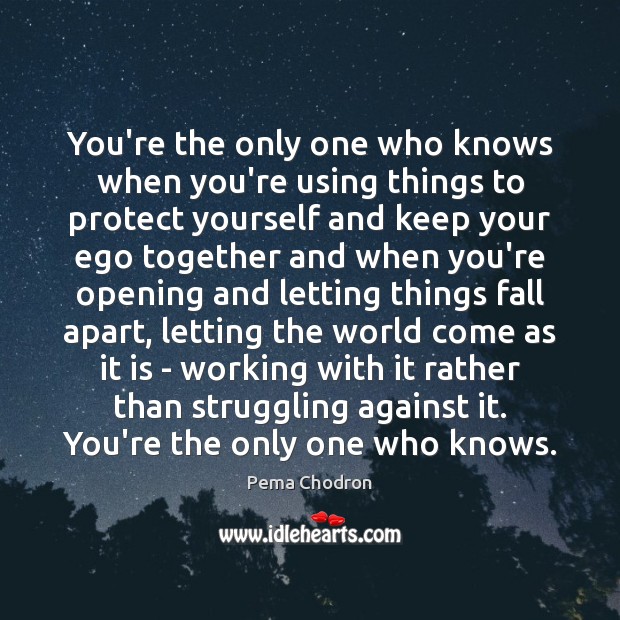 You’re the only one who knows when you’re using things to protect Pema Chodron Picture Quote