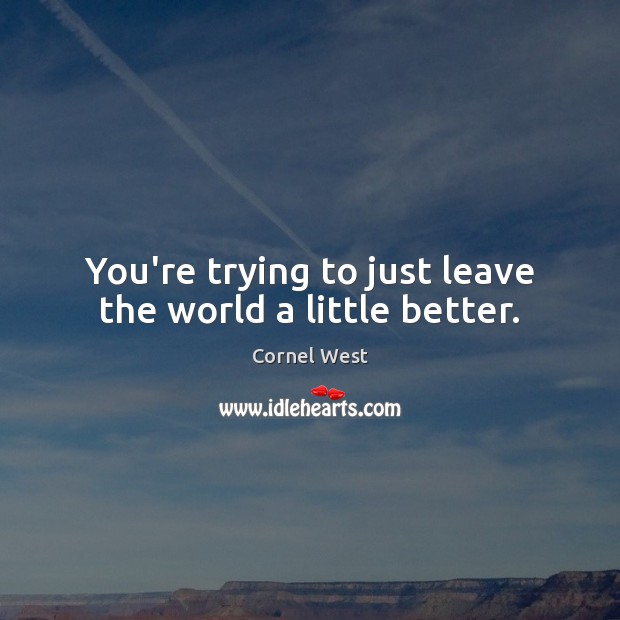 You’re trying to just leave the world a little better. Cornel West Picture Quote