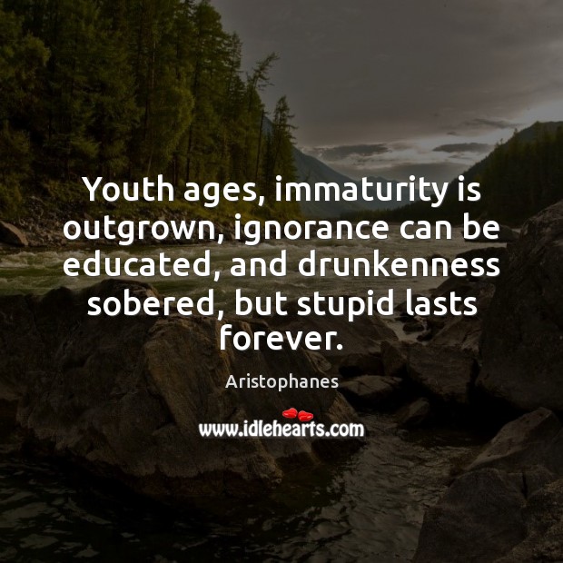 Youth ages, immaturity is outgrown, ignorance can be educated, and drunkenness sobered, Aristophanes Picture Quote