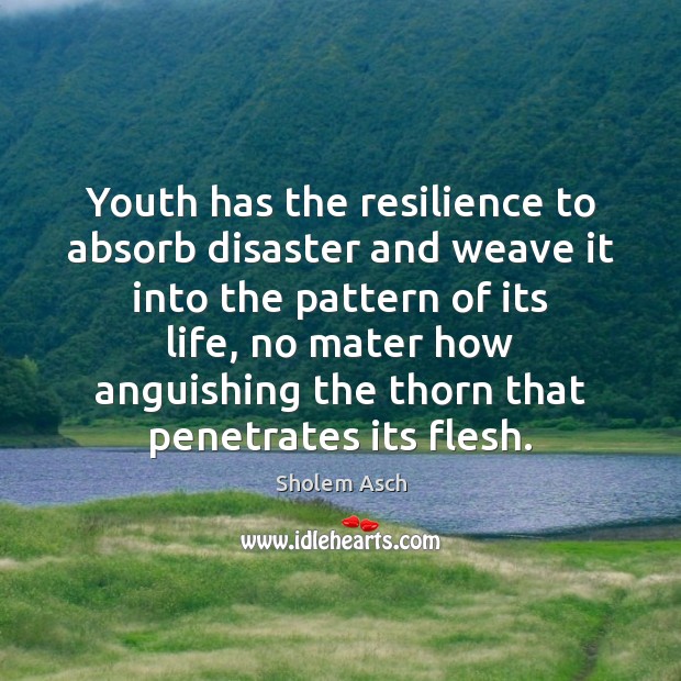 Youth has the resilience to absorb disaster and weave it into the Sholem Asch Picture Quote