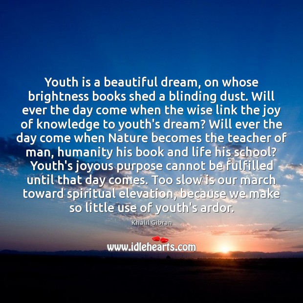 Youth is a beautiful dream, on whose brightness books shed a blinding Wise Quotes Image