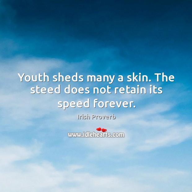 Youth sheds many a skin. The steed does not retain its speed forever. Irish Proverbs Image