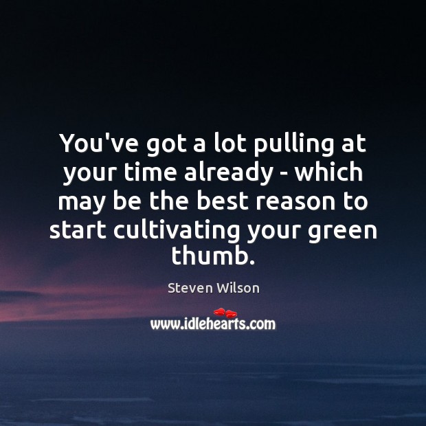 You’ve got a lot pulling at your time already – which may Steven Wilson Picture Quote