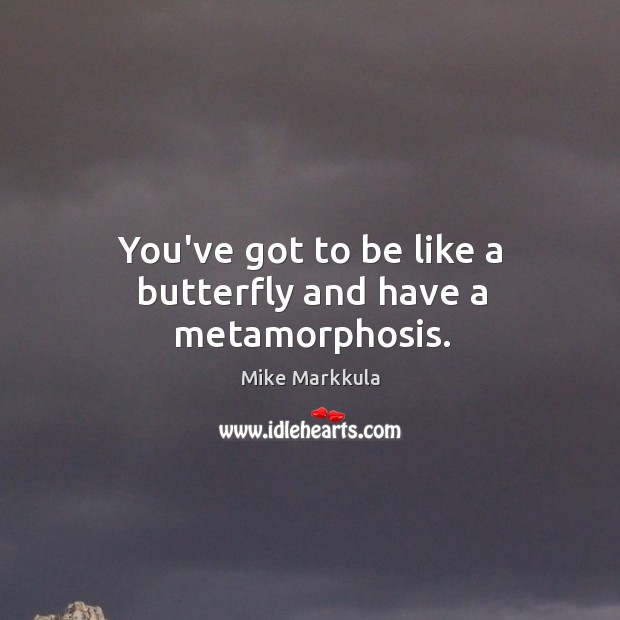 You’ve got to be like a butterfly and have a metamorphosis. Image