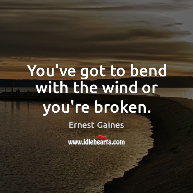 You’ve got to bend with the wind or you’re broken. 