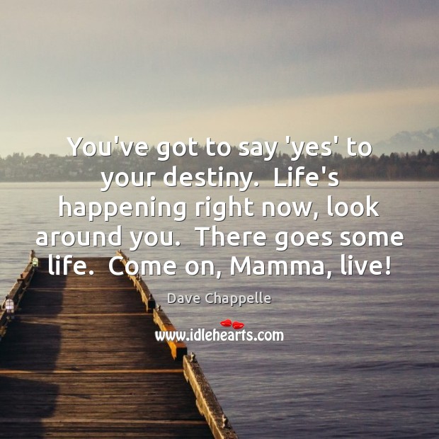 You’ve got to say ‘yes’ to your destiny.  Life’s happening right now, Dave Chappelle Picture Quote