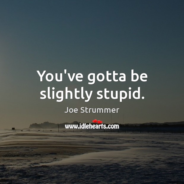 You’ve gotta be slightly stupid. Joe Strummer Picture Quote