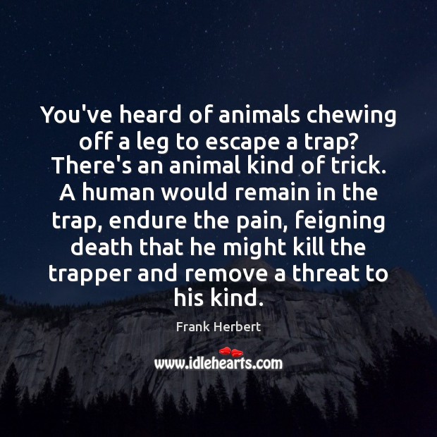 You’ve heard of animals chewing off a leg to escape a trap? Frank Herbert Picture Quote
