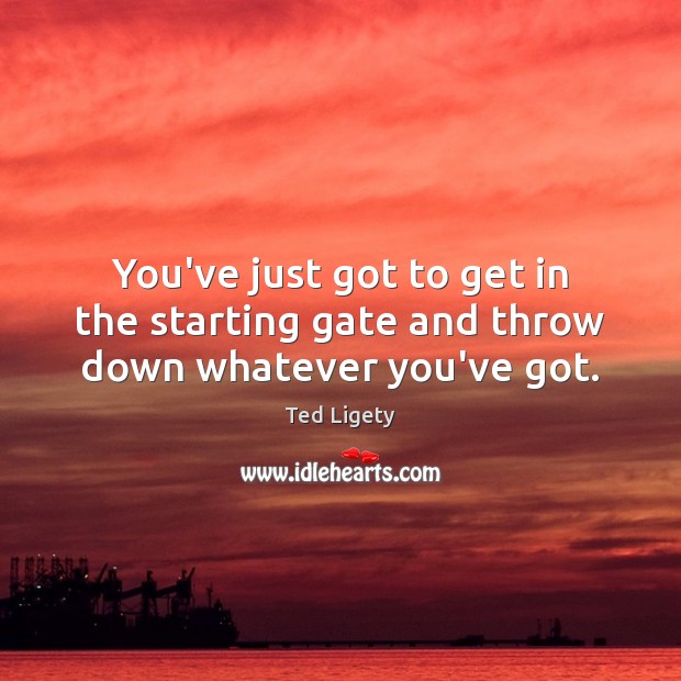 You’ve just got to get in the starting gate and throw down whatever you’ve got. Ted Ligety Picture Quote