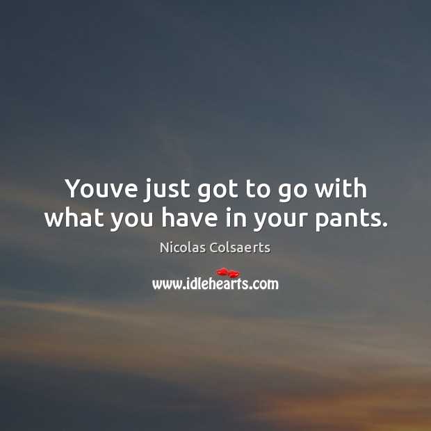 Youve just got to go with what you have in your pants. Nicolas Colsaerts Picture Quote