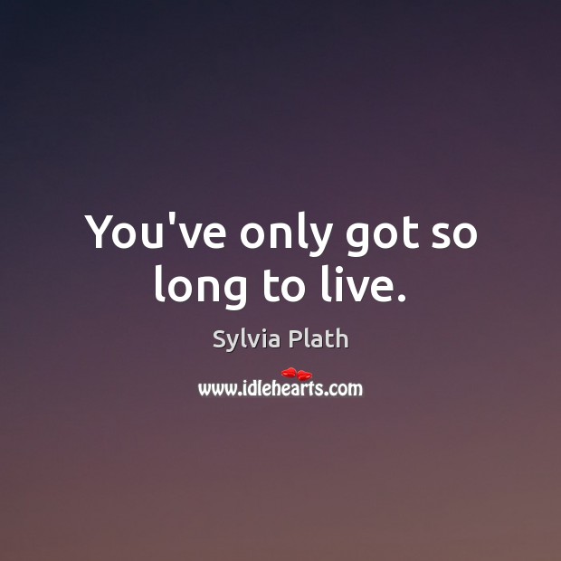 You’ve only got so long to live. Sylvia Plath Picture Quote