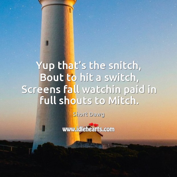 Yup that’s the snitch, bout to hit a switch, screens fall watchin paid in full shouts to mitch. Image