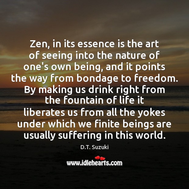 Zen, in its essence is the art of seeing into the nature Image