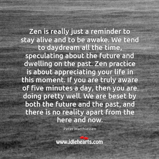 Zen is really just a reminder to stay alive and to be Peter Matthiessen Picture Quote