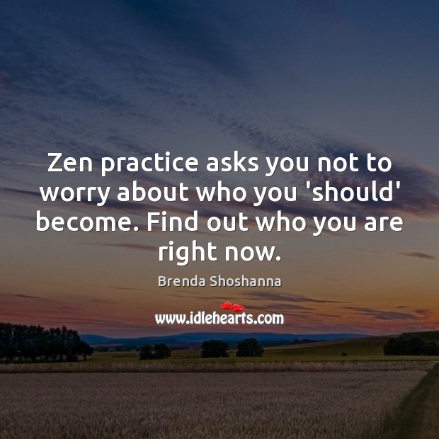 Zen practice asks you not to worry about who you ‘should’ become. Brenda Shoshanna Picture Quote