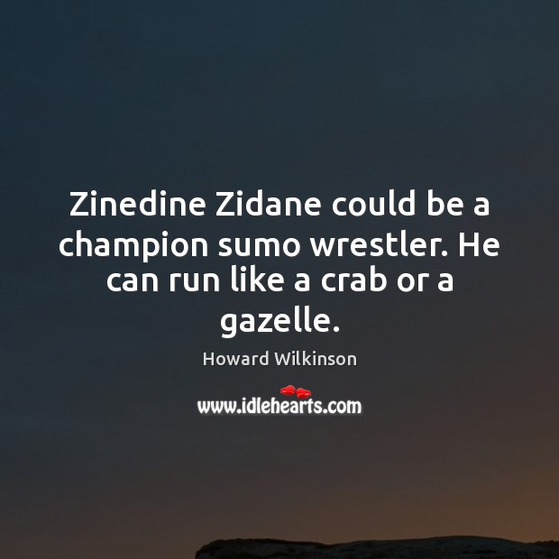 Zinedine Zidane could be a champion sumo wrestler. He can run like a crab or a gazelle. Image