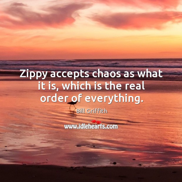 Zippy accepts chaos as what it is, which is the real order of everything. Image
