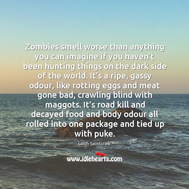Zombies smell worse than anything you can imagine if you haven’t Lilith Saintcrow Picture Quote