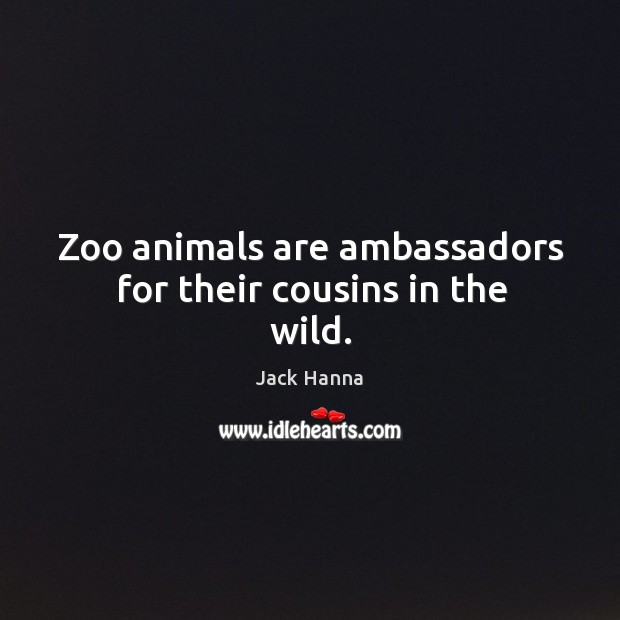 Zoo animals are ambassadors for their cousins in the wild. Jack Hanna Picture Quote