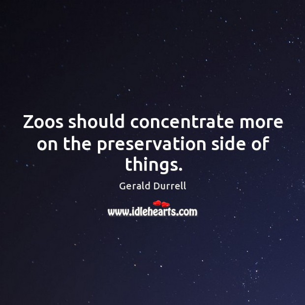 Zoos should concentrate more on the preservation side of things. Gerald Durrell Picture Quote